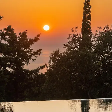 Thisefs Luxury Kefalonia アパートホテル